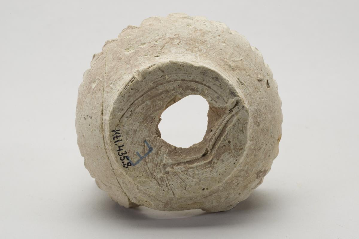 Kt I. 435.8