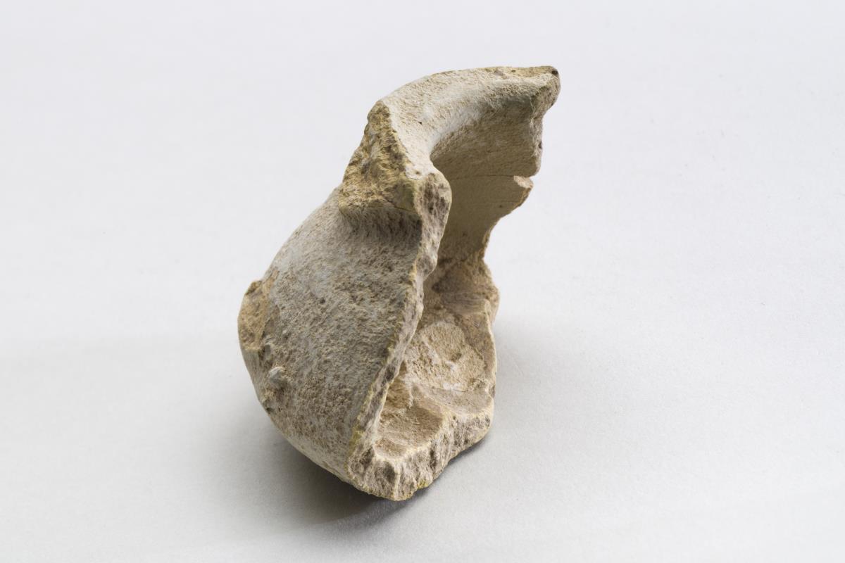 Kt I. 341.8