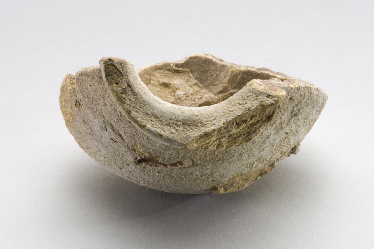 Kt I. 341.8