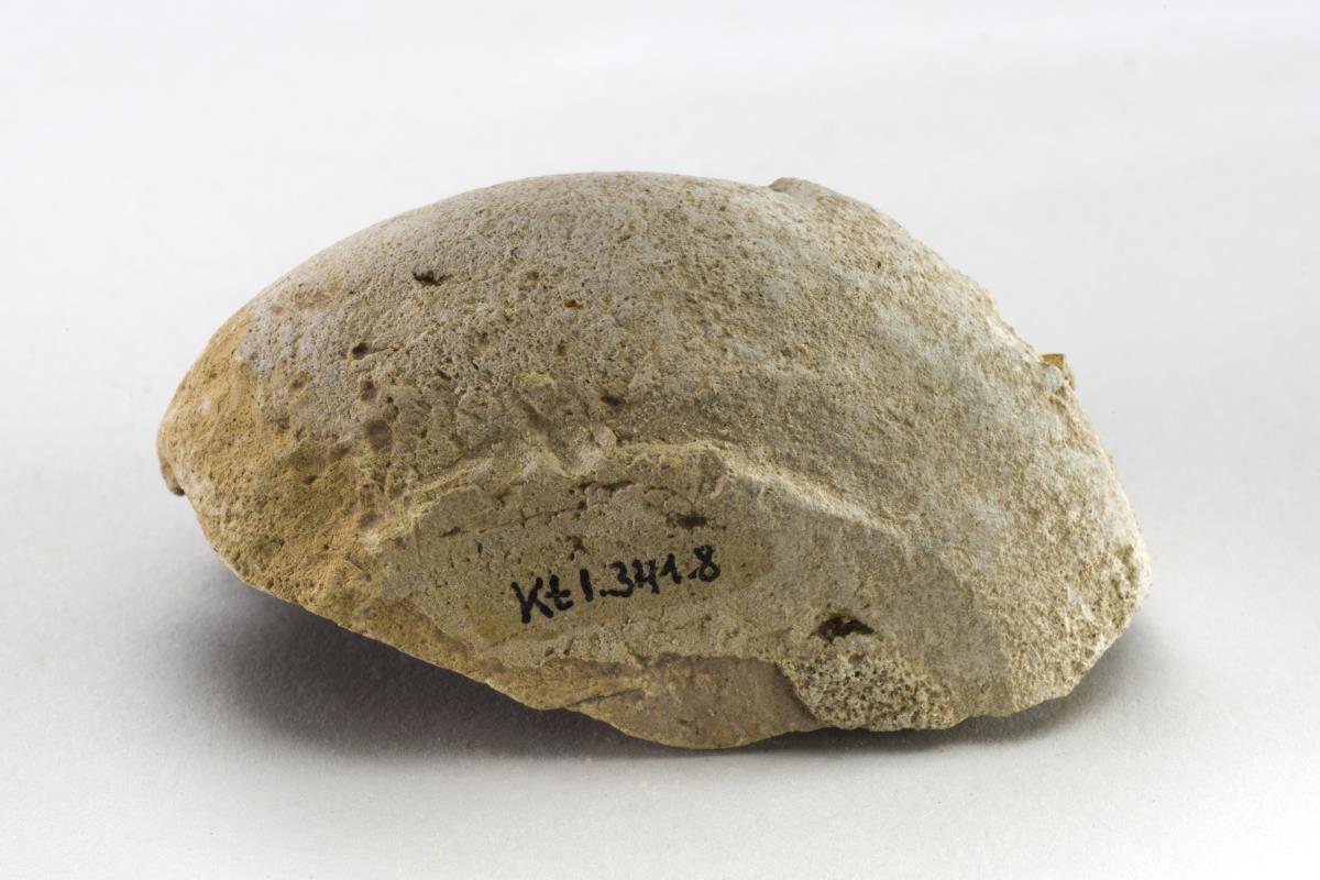 Kt I. 341.8