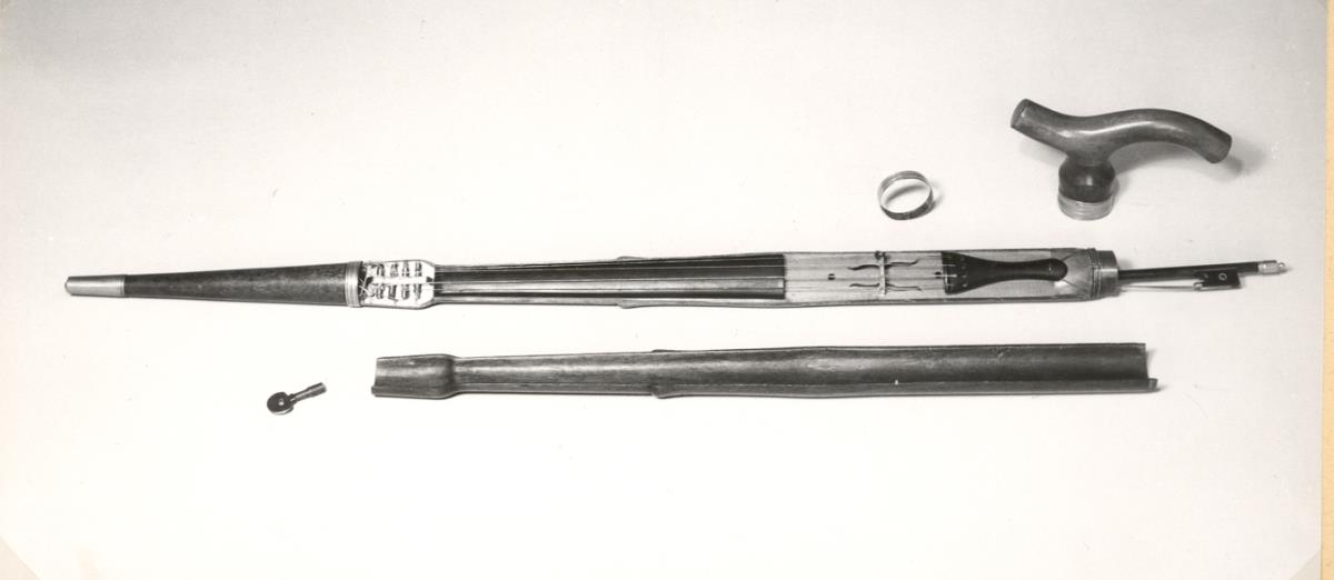 Stockgeige