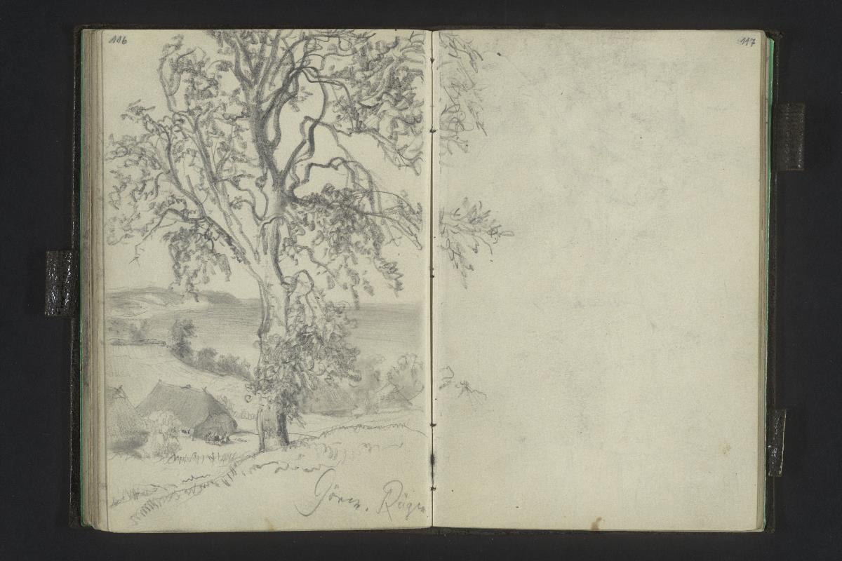 Baum und Häuser bei Göhren auf Rügen