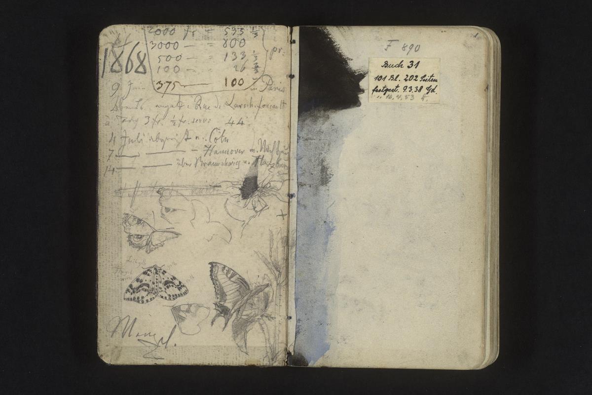 Notizen und Skizzen von verschiedenen Faltern