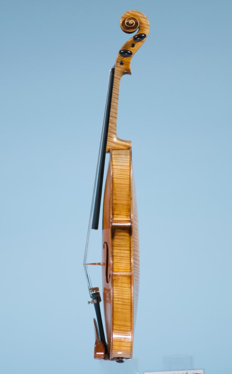 Violine