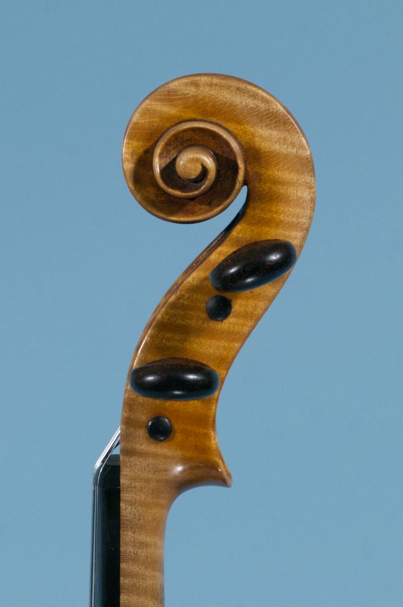 Violine