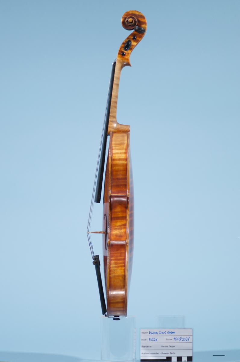 Violine