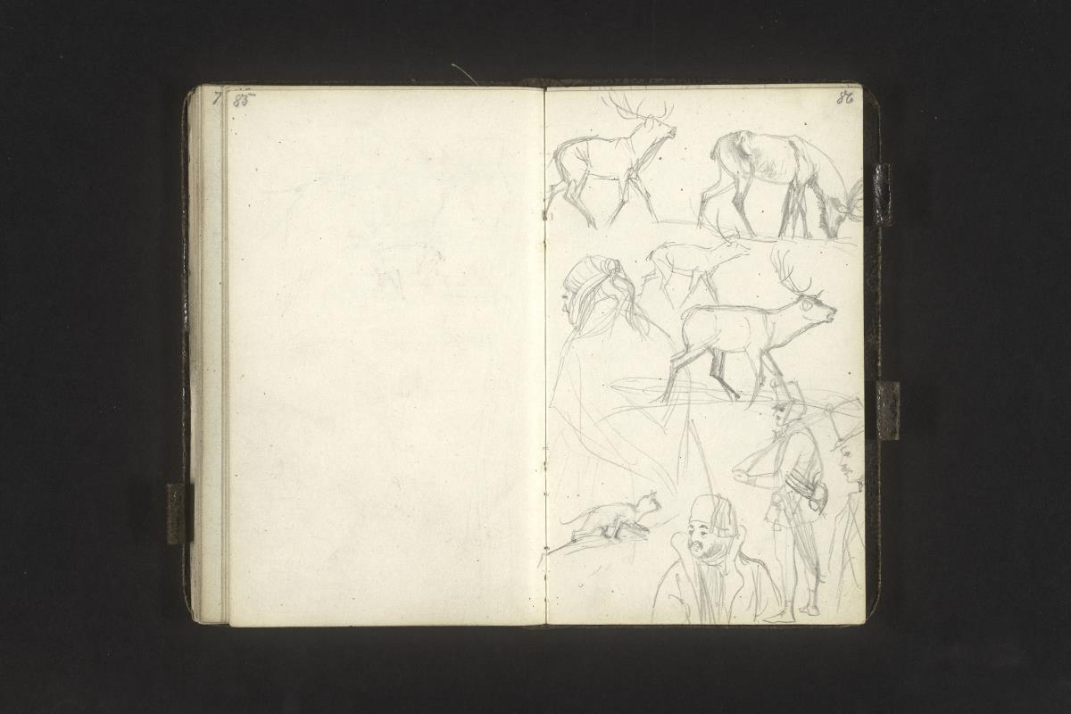 Skizzen von Hirsch und Katze, vier verschiedene Figurenstudien