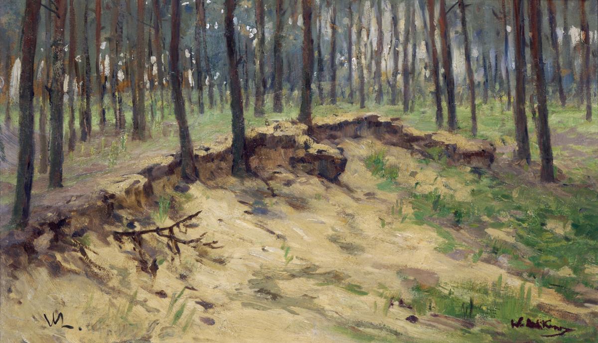 Waldstück mit Sandgrube