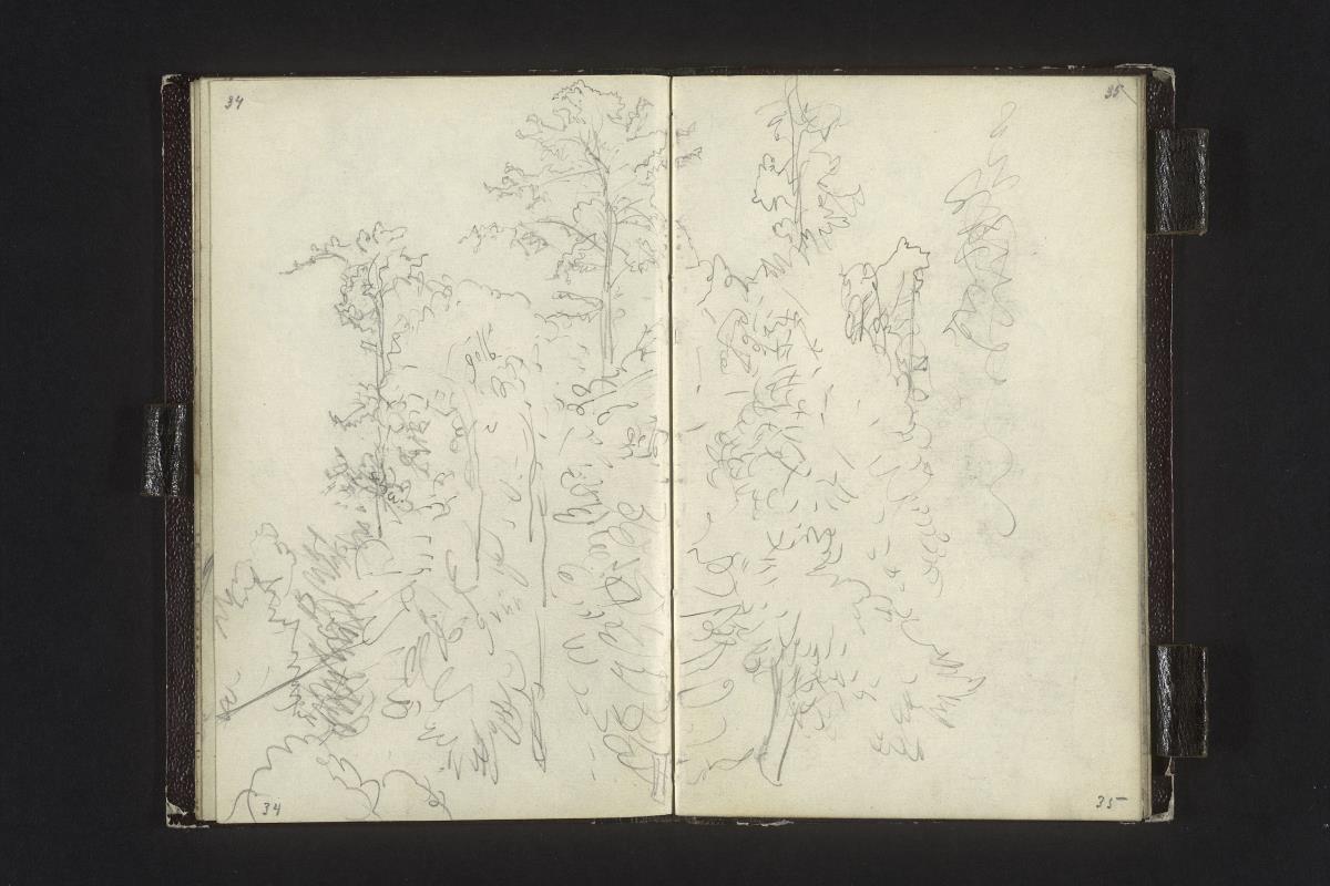 Waldstudie