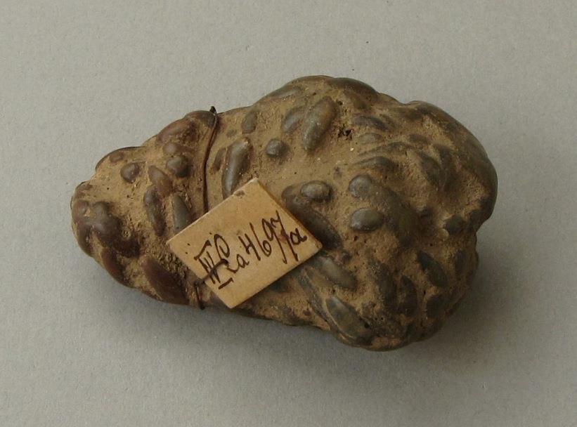 IV Ca 4697 a
