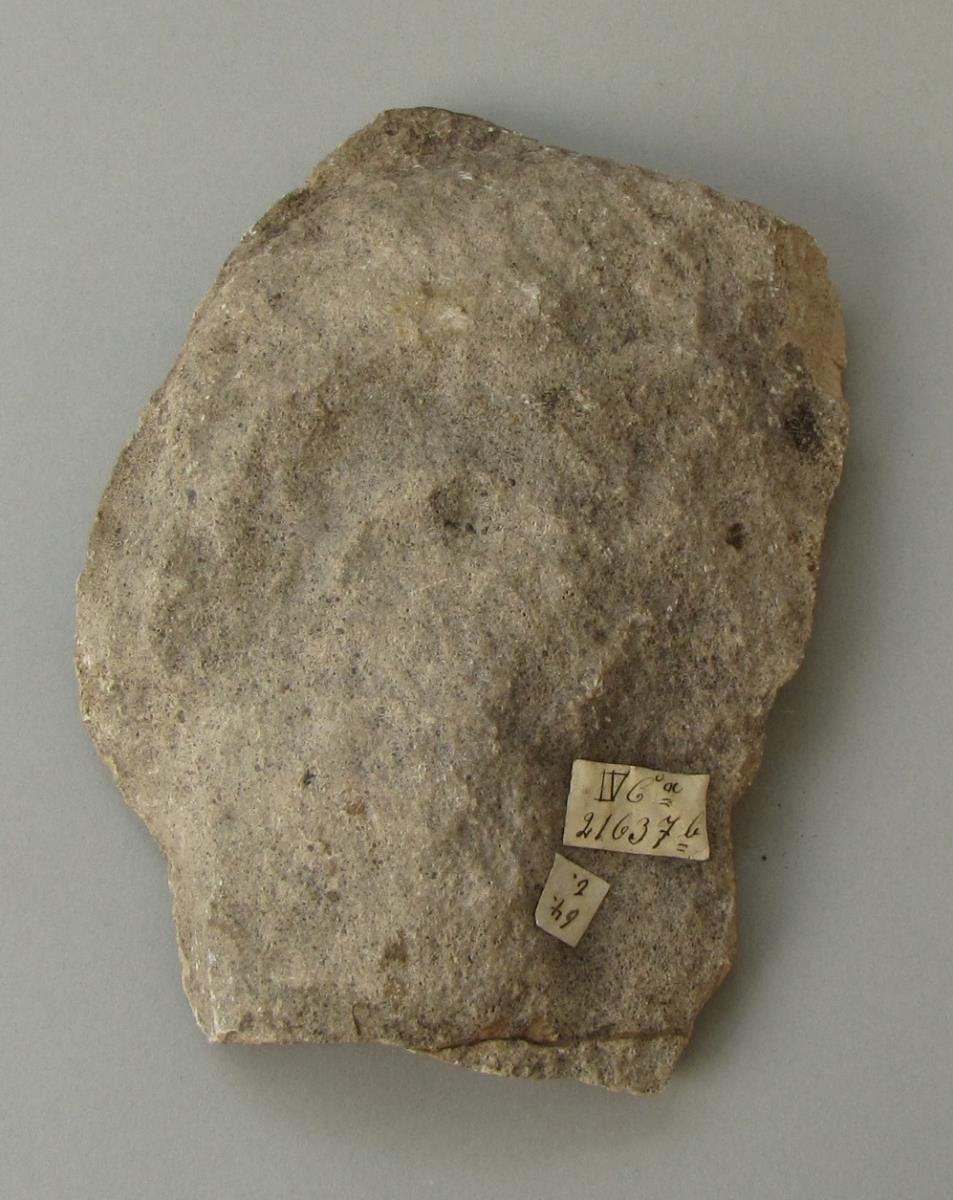 IV Ca 21637 b
