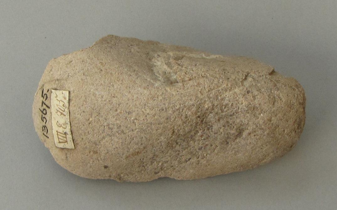 VII E 705 <2>
