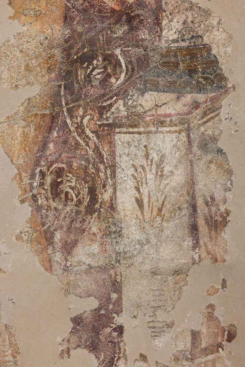 I. 1264