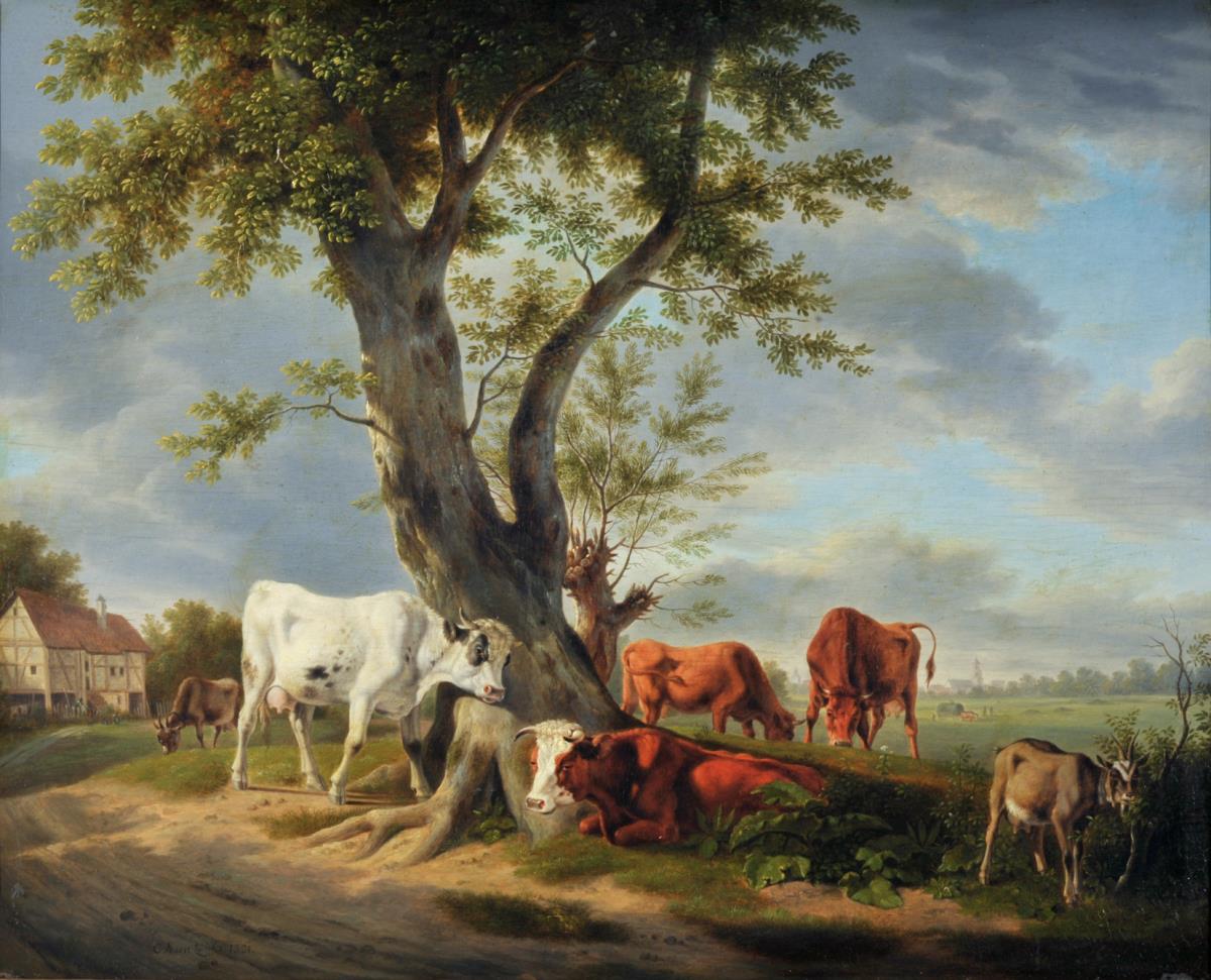 Viehweide mit Baum