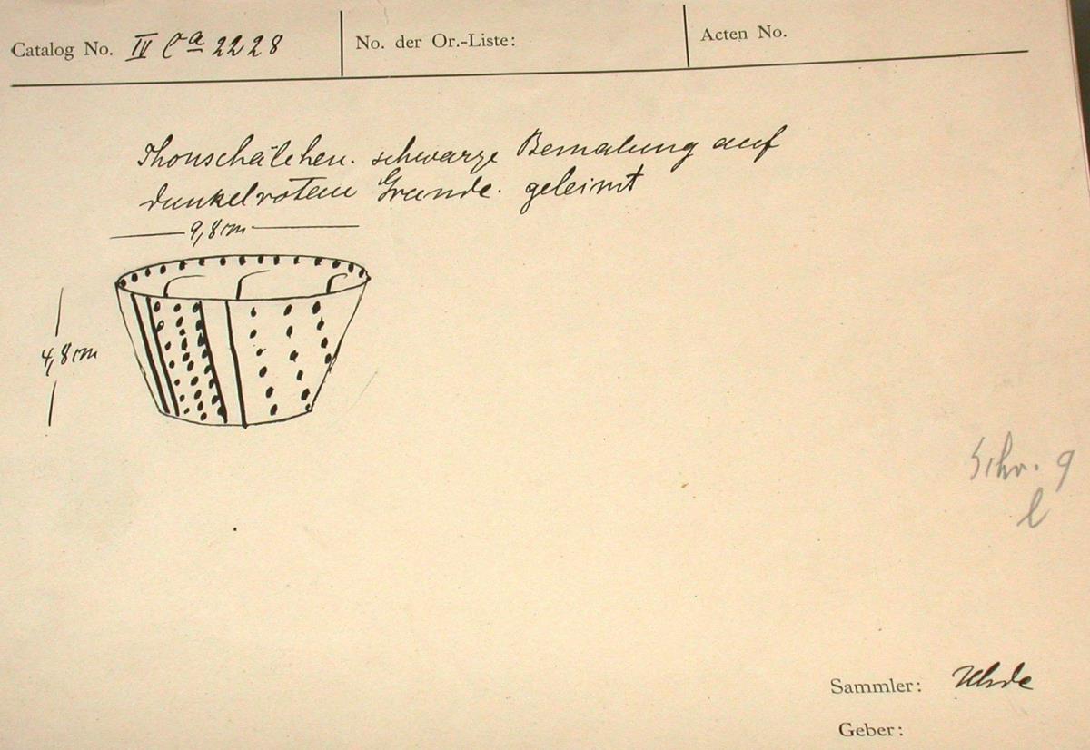 IV Ca 2228