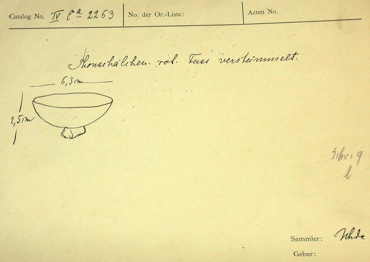 IV Ca 2263
