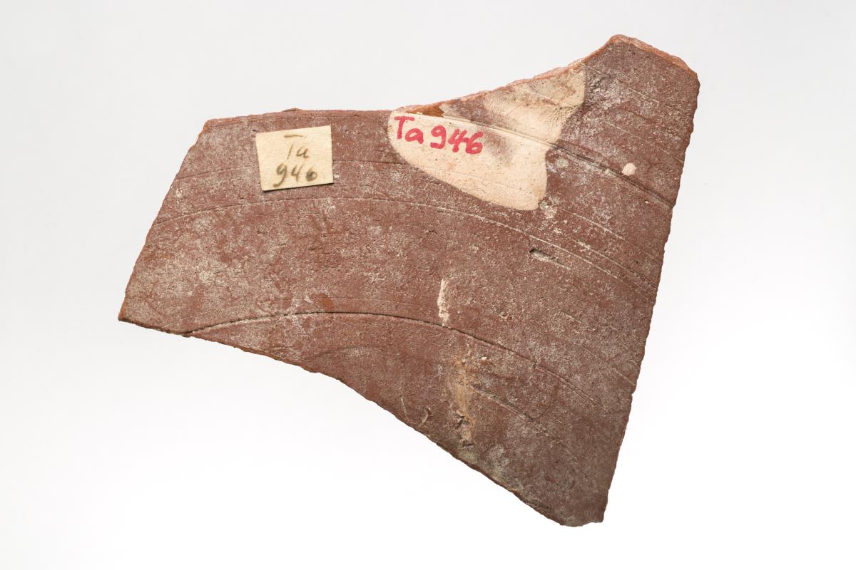 Ta 946