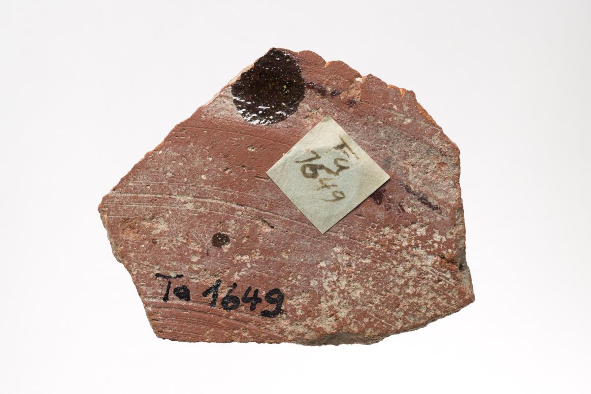 Ta 1649