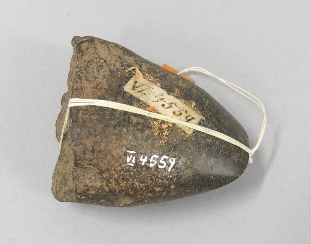 VI 4559