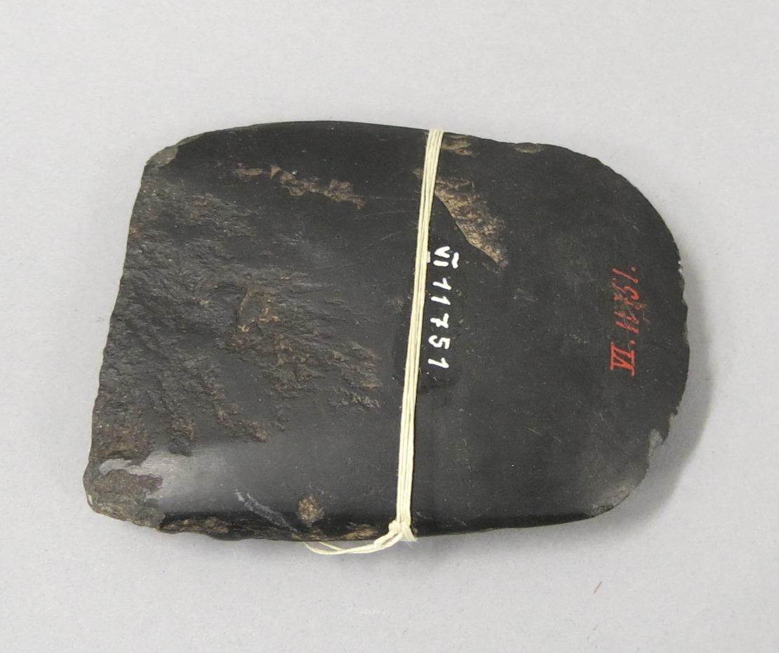VI 11751