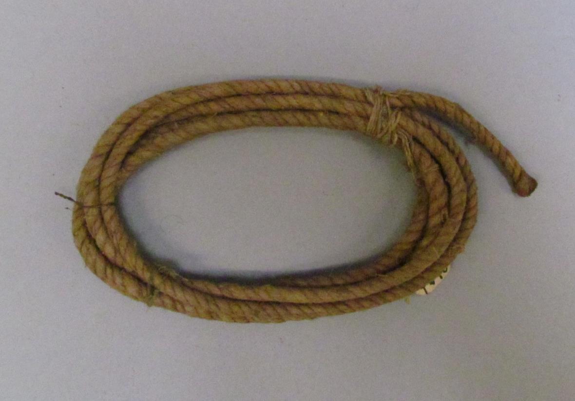 I C 7296