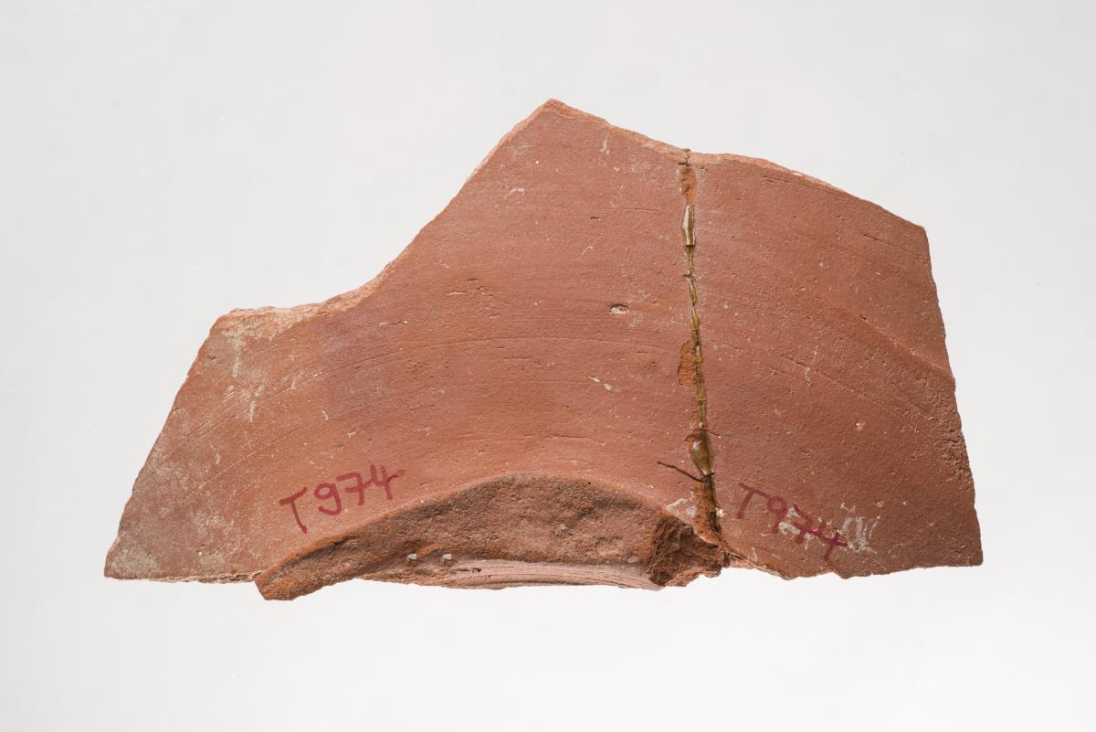 Ta 974