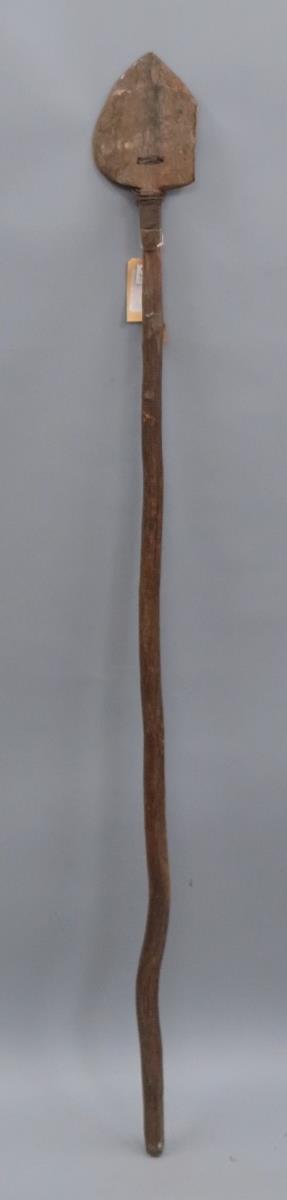 VI 23116 y
