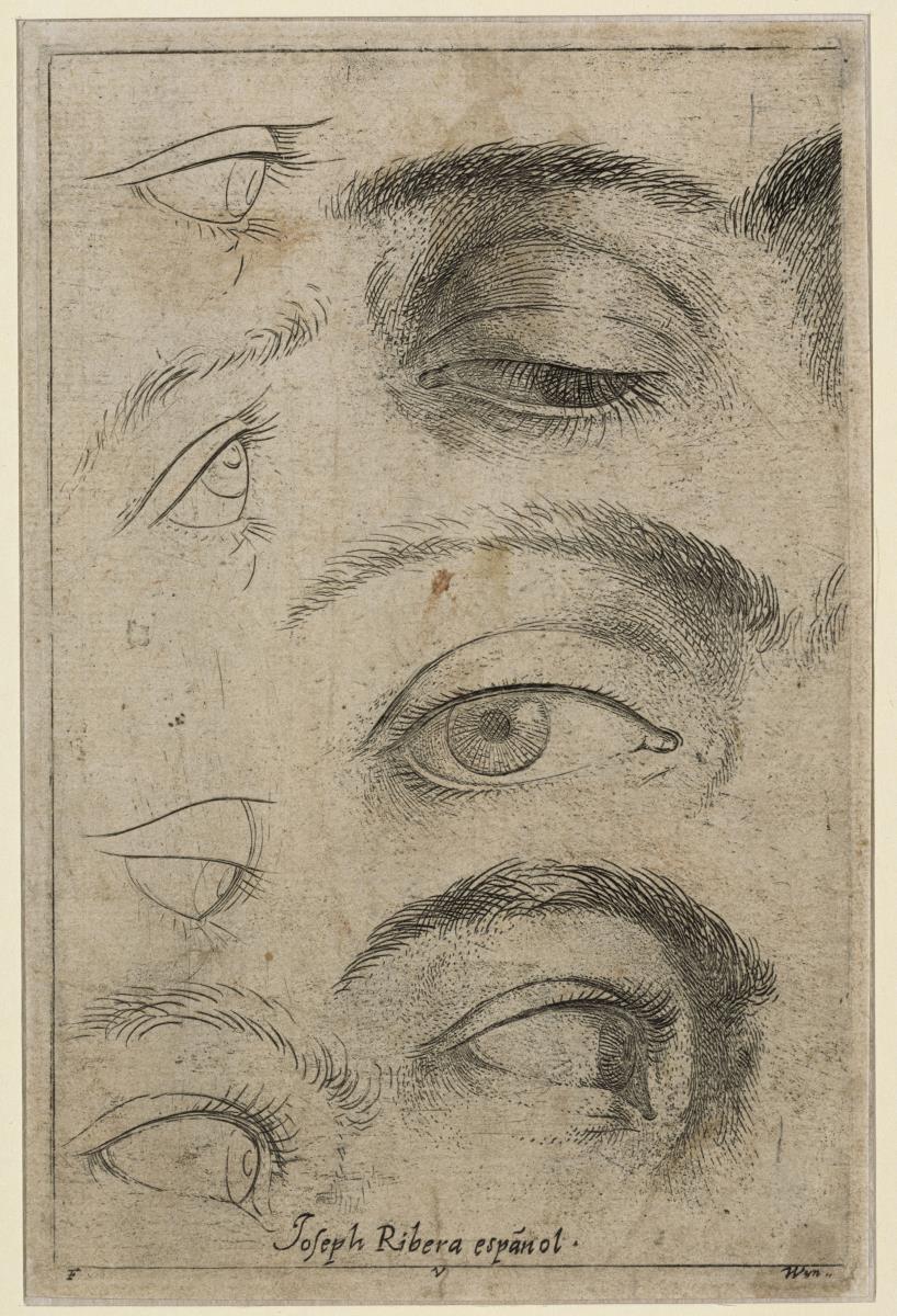 Studien für Augen (linke Hälfte) (druckgraphisches Studienblatt zum Erlernen der Zeichenkunst)