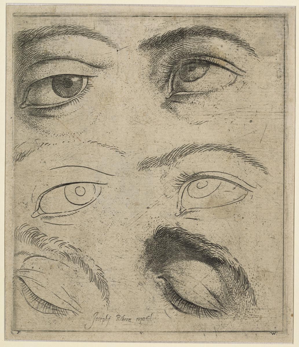 Studien für Augen (rechte Hälfte) (druckgraphisches Studienblatt zum Erlernen der Zeichenkunst)