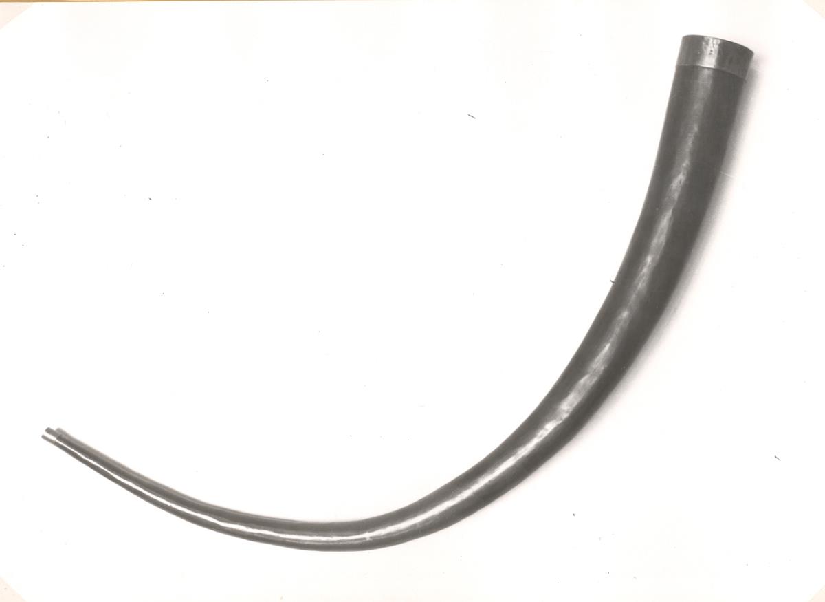 Russisches Horn