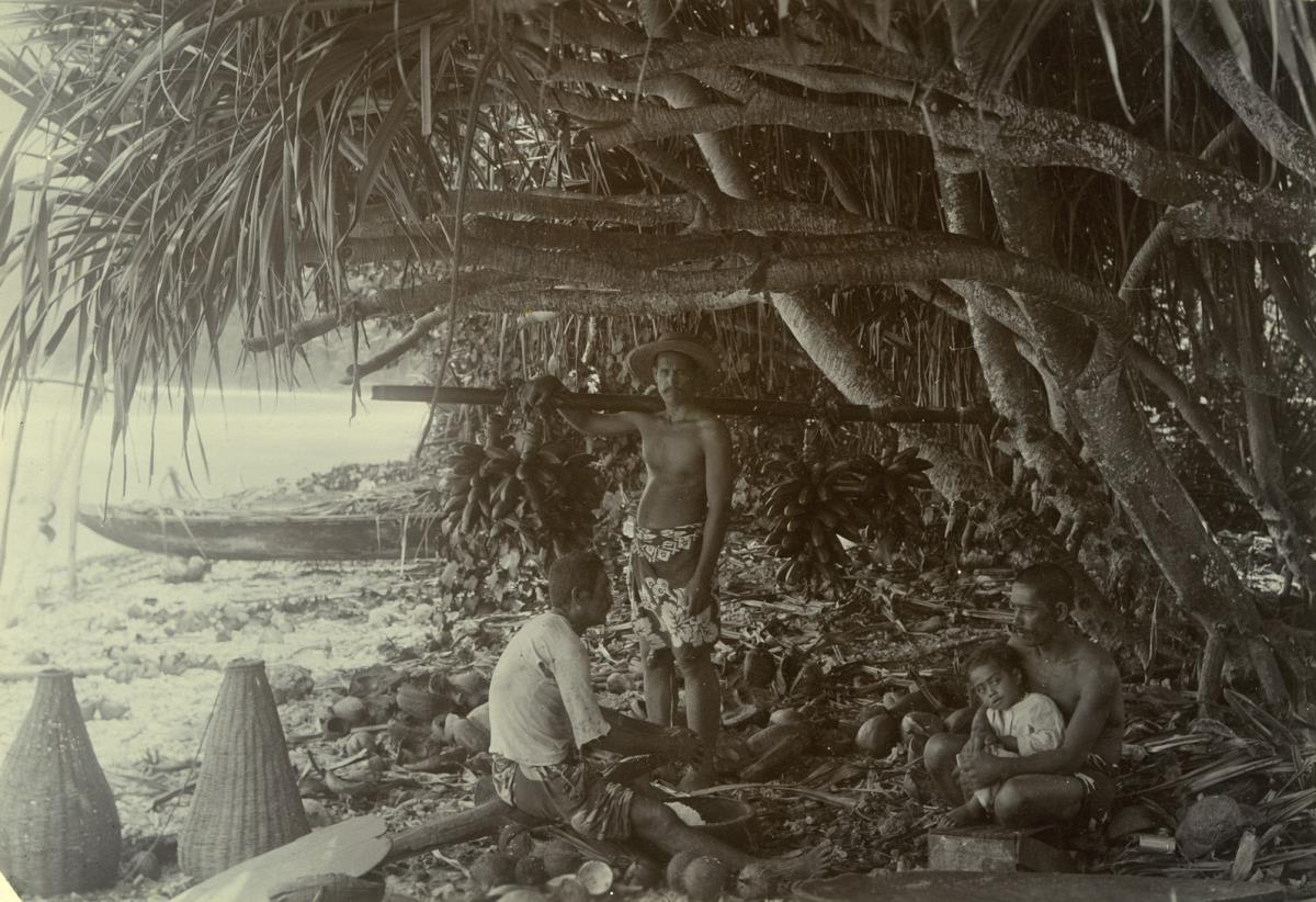 "Bananenträger.Tiarei, Tahiti"