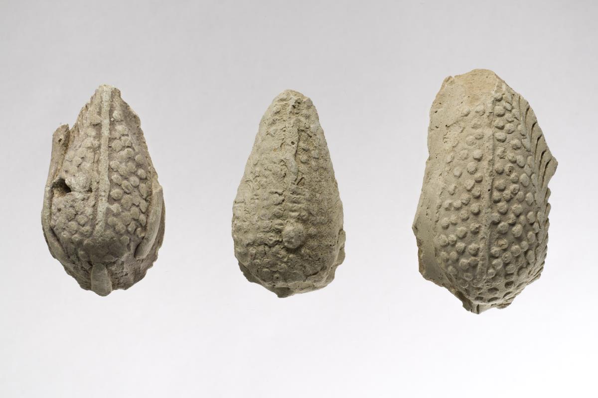 Kt I. 433.6