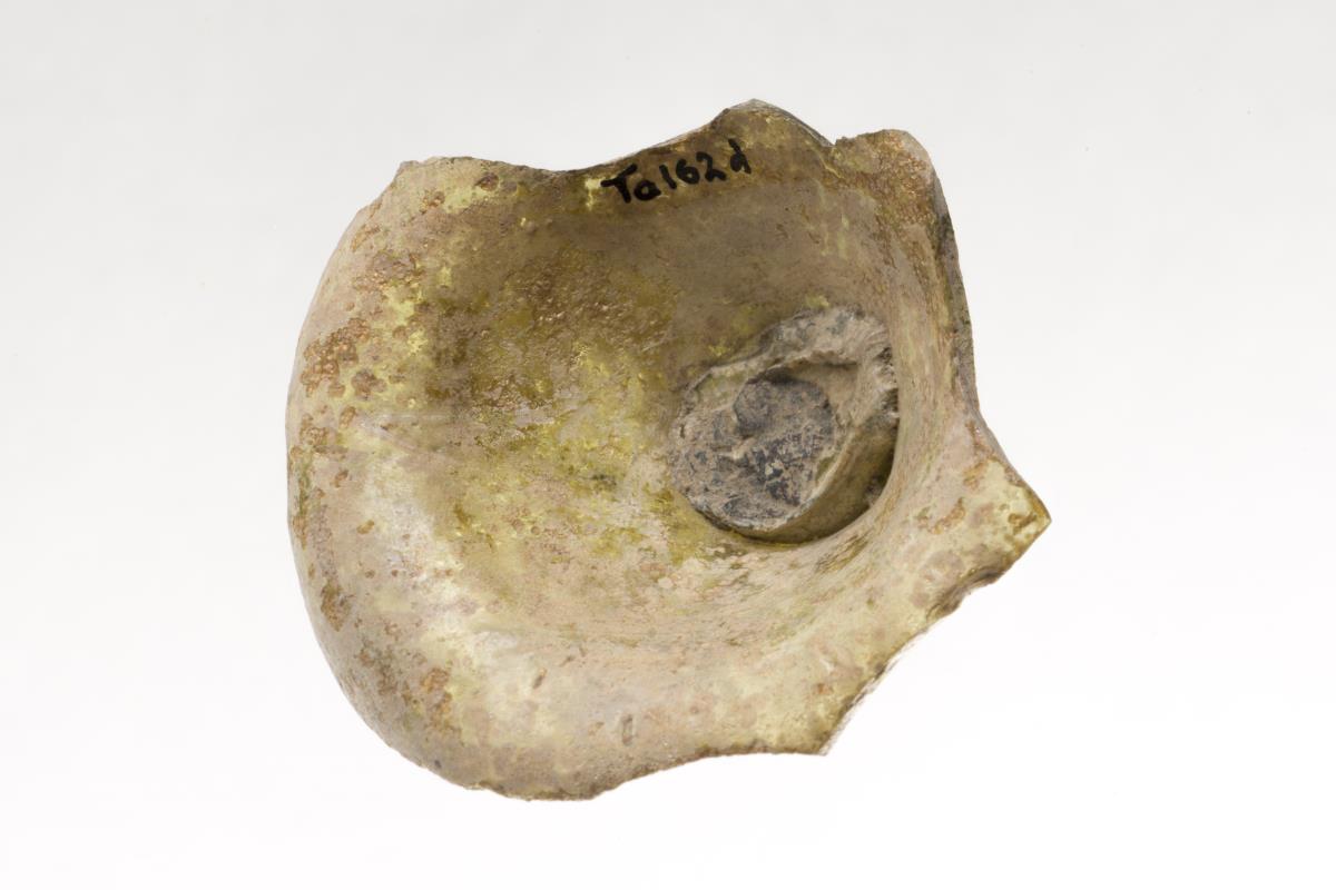 Ta 162 d
