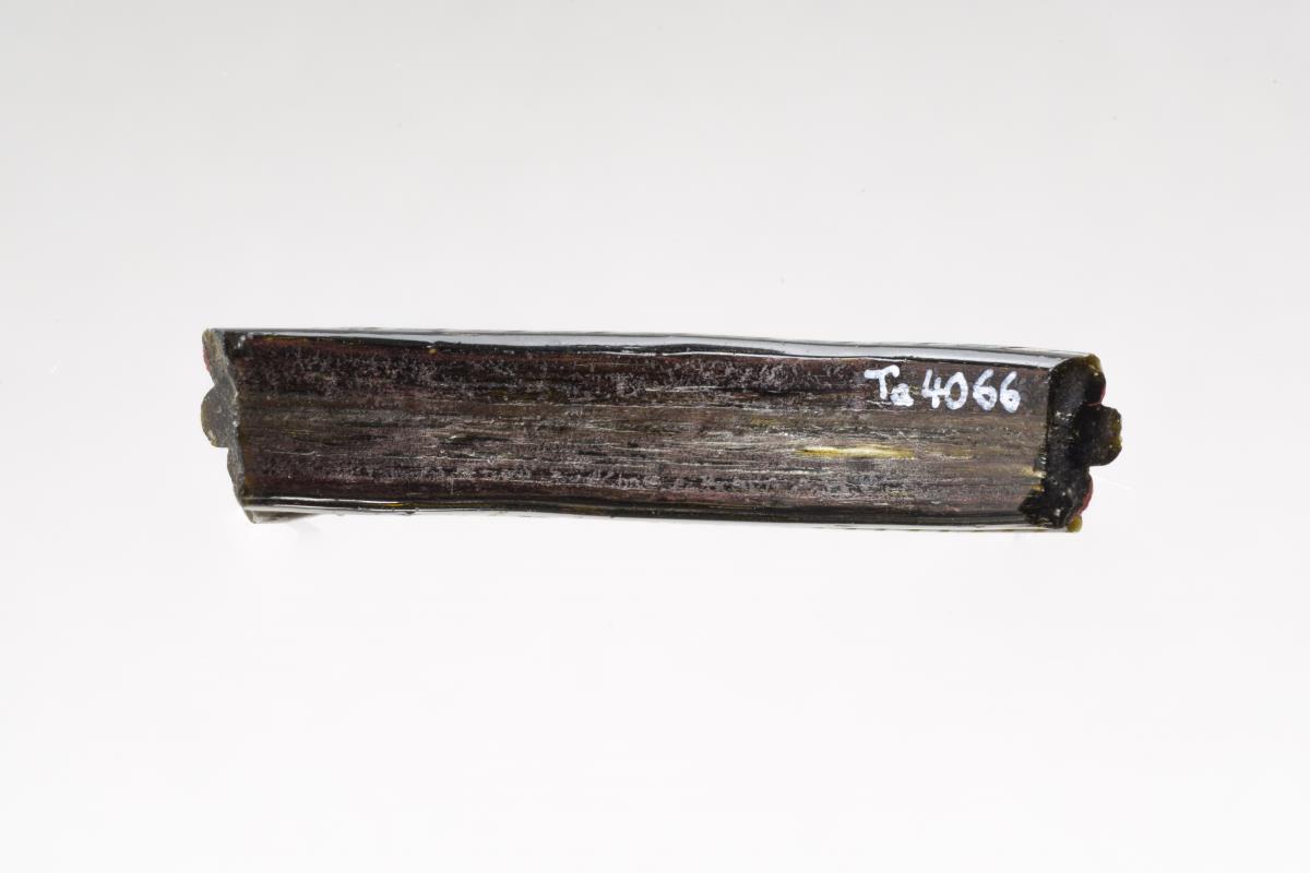Ta 4066