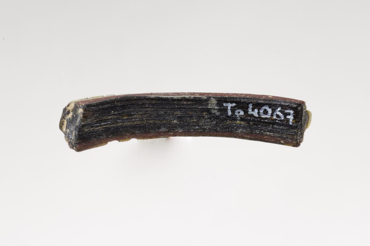 Ta 4067
