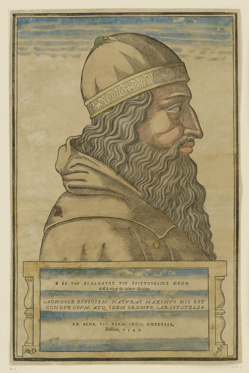 Aristoteles-Büste, Vollprofil
