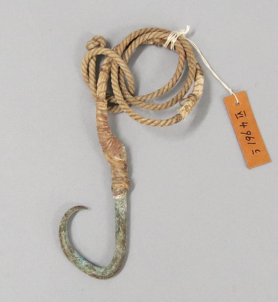 VI 4961 c