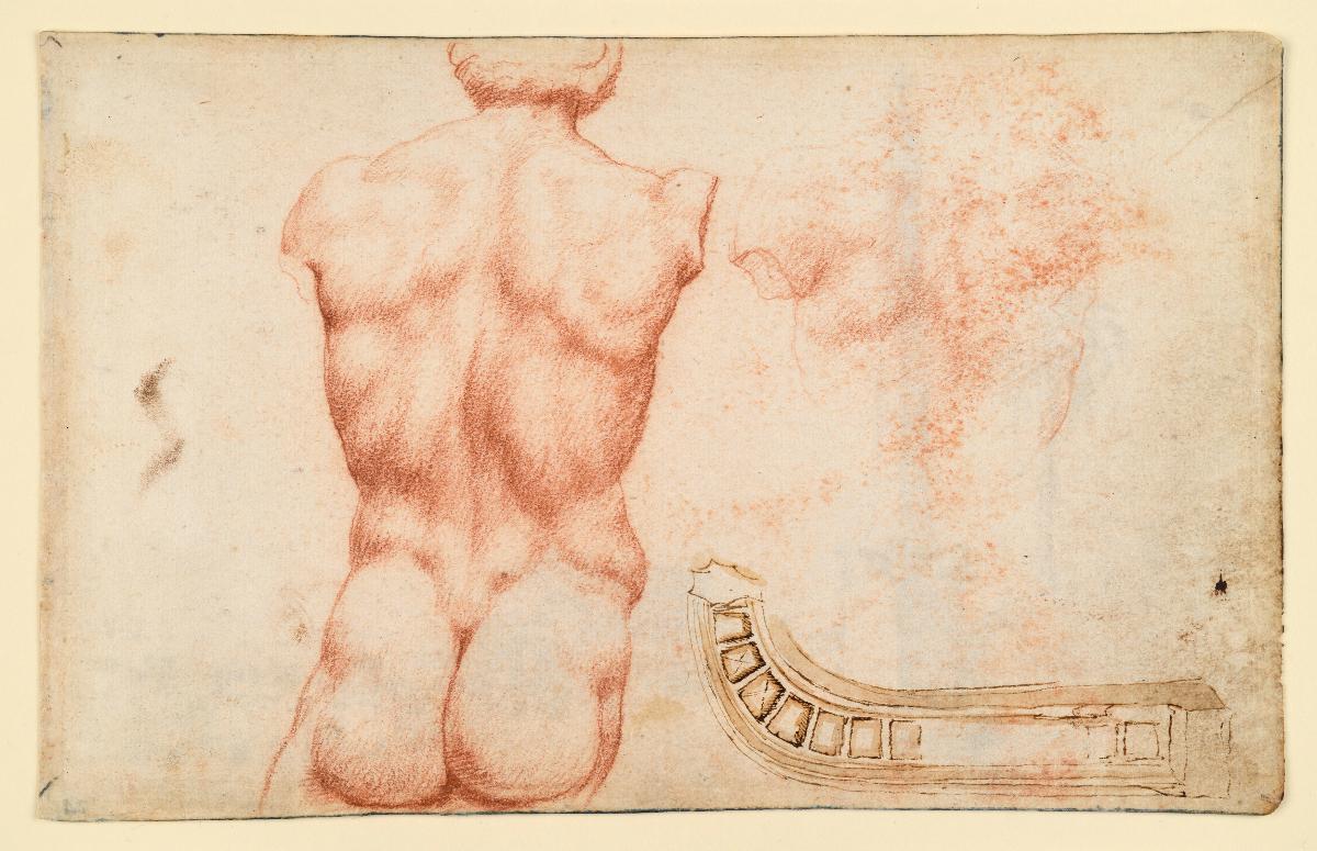 Studien aus der Sammlung Santacroce (Torso) und vom Palast Santacroce (Türeinfassung)