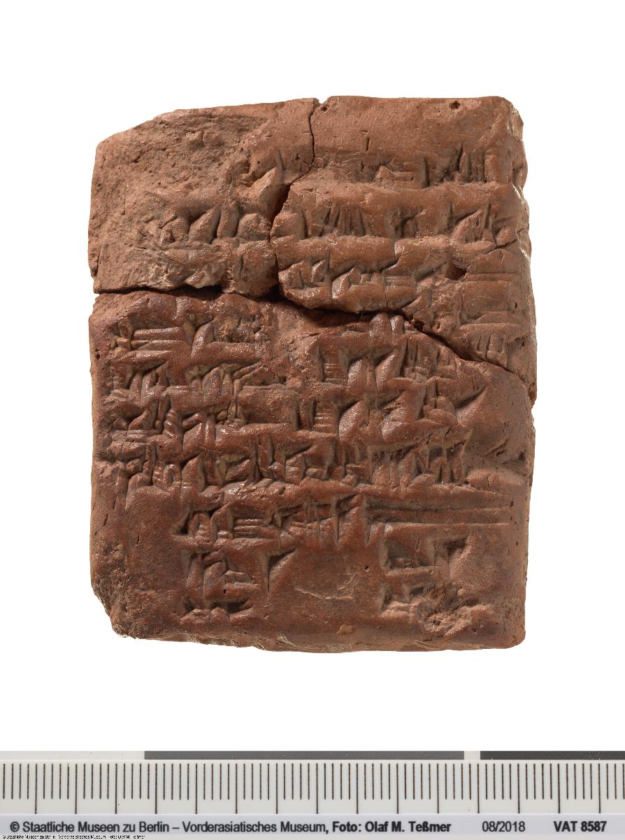 Juristischer Text