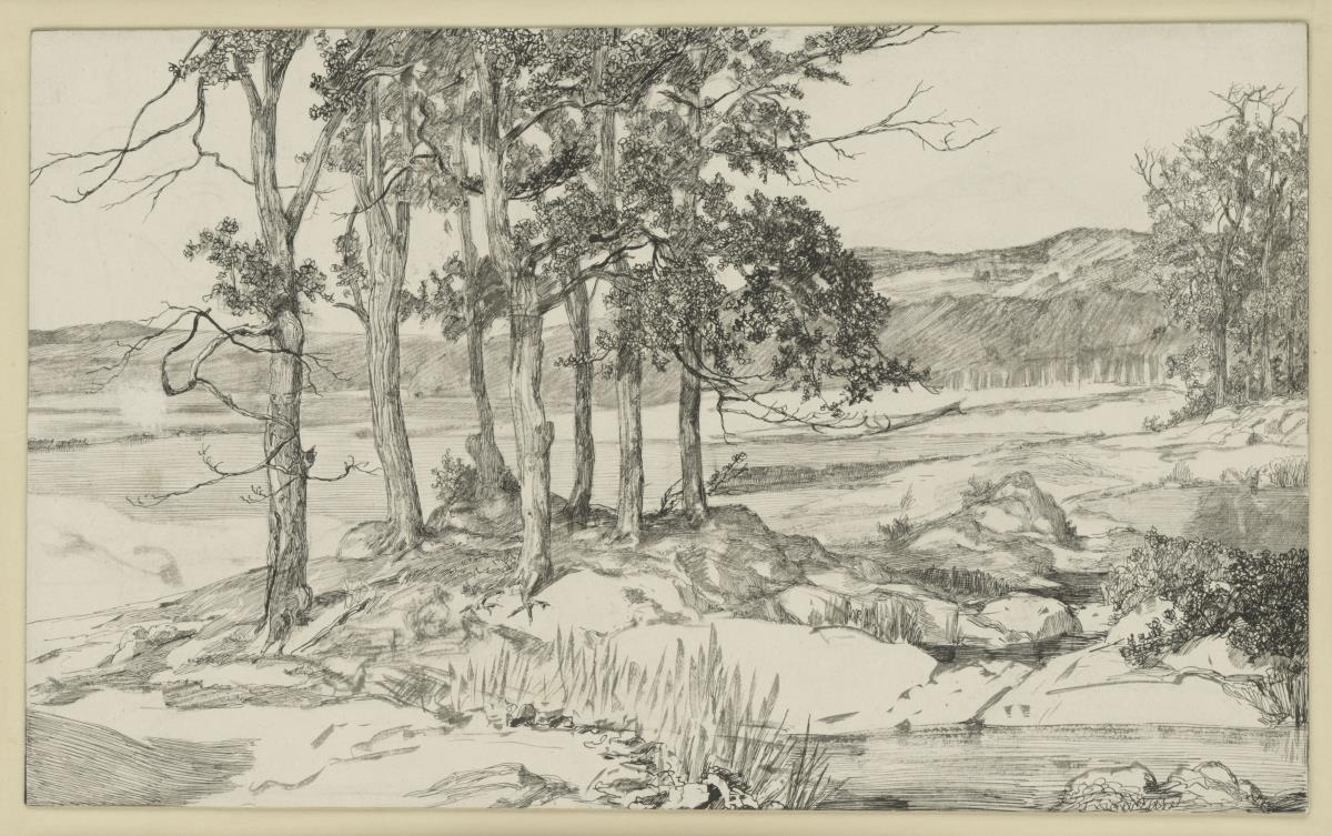 Landschaft mit Kiefernstand und Teich