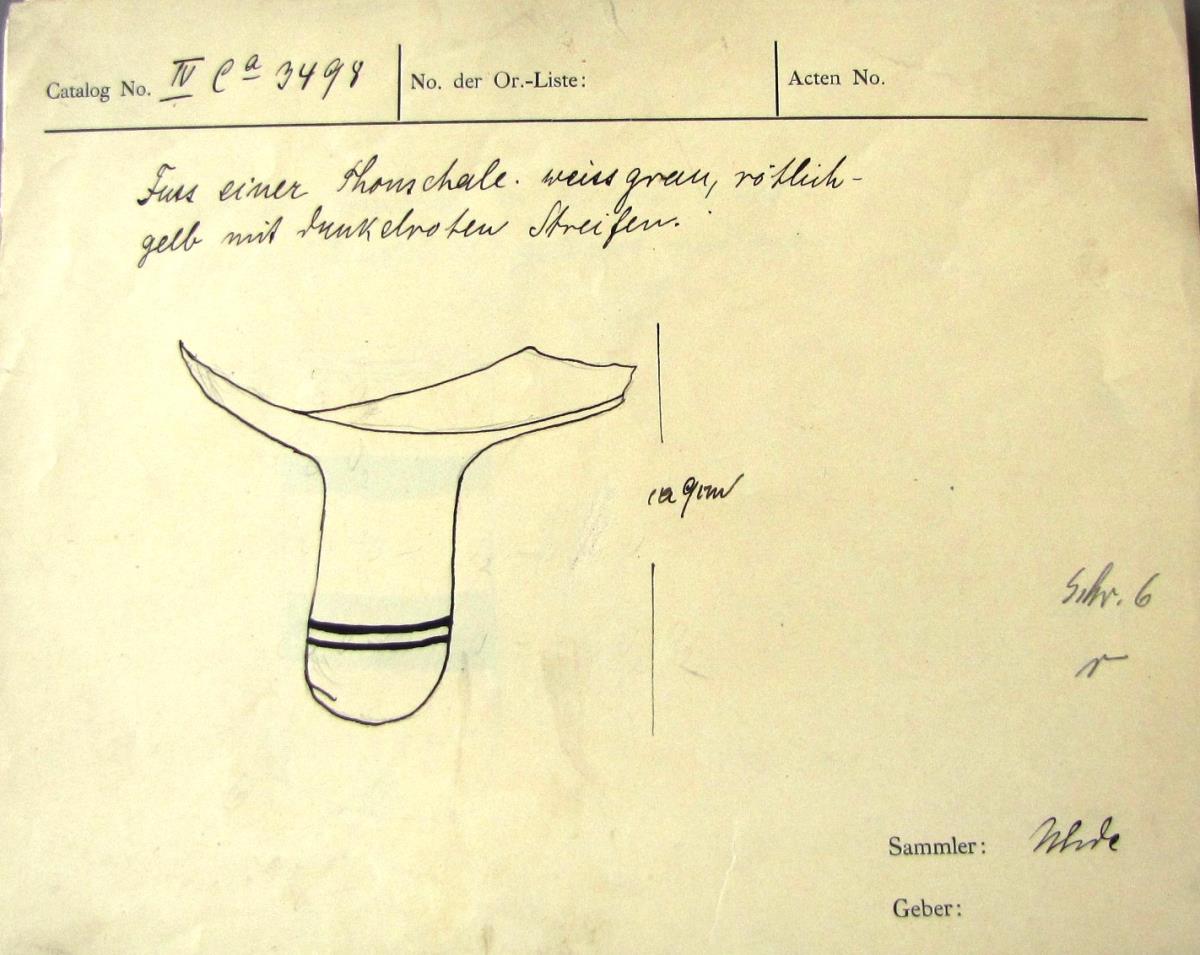 IV Ca 3498