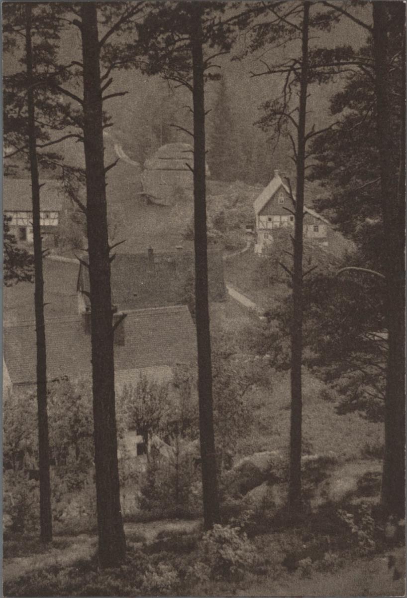 Landschaft mit Bäumen im Vordergrund