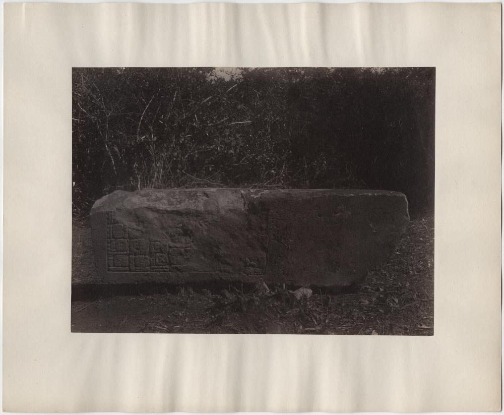 Stele 8, Südwestseite. ("Oben rechts Kalenderdatum. 8 ahan 13 (18?). Das davor stehende Zeichen, das zweite von links, scheint die gewöhnliche Überschrift zu sein.")