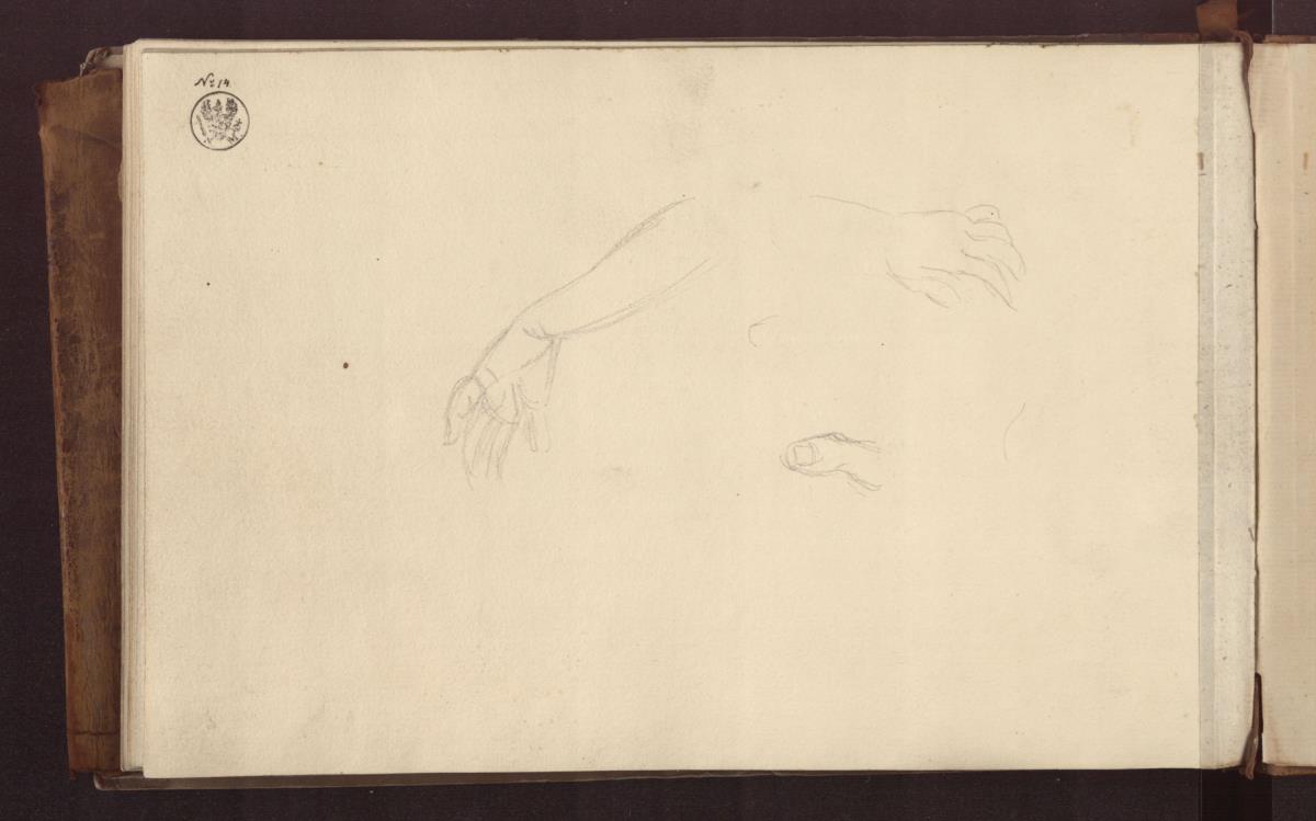 Ein Arm & Eine Hand & Ein Daumen