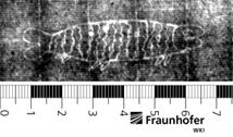 Entwurf zu einer Fassade mit Pilastern