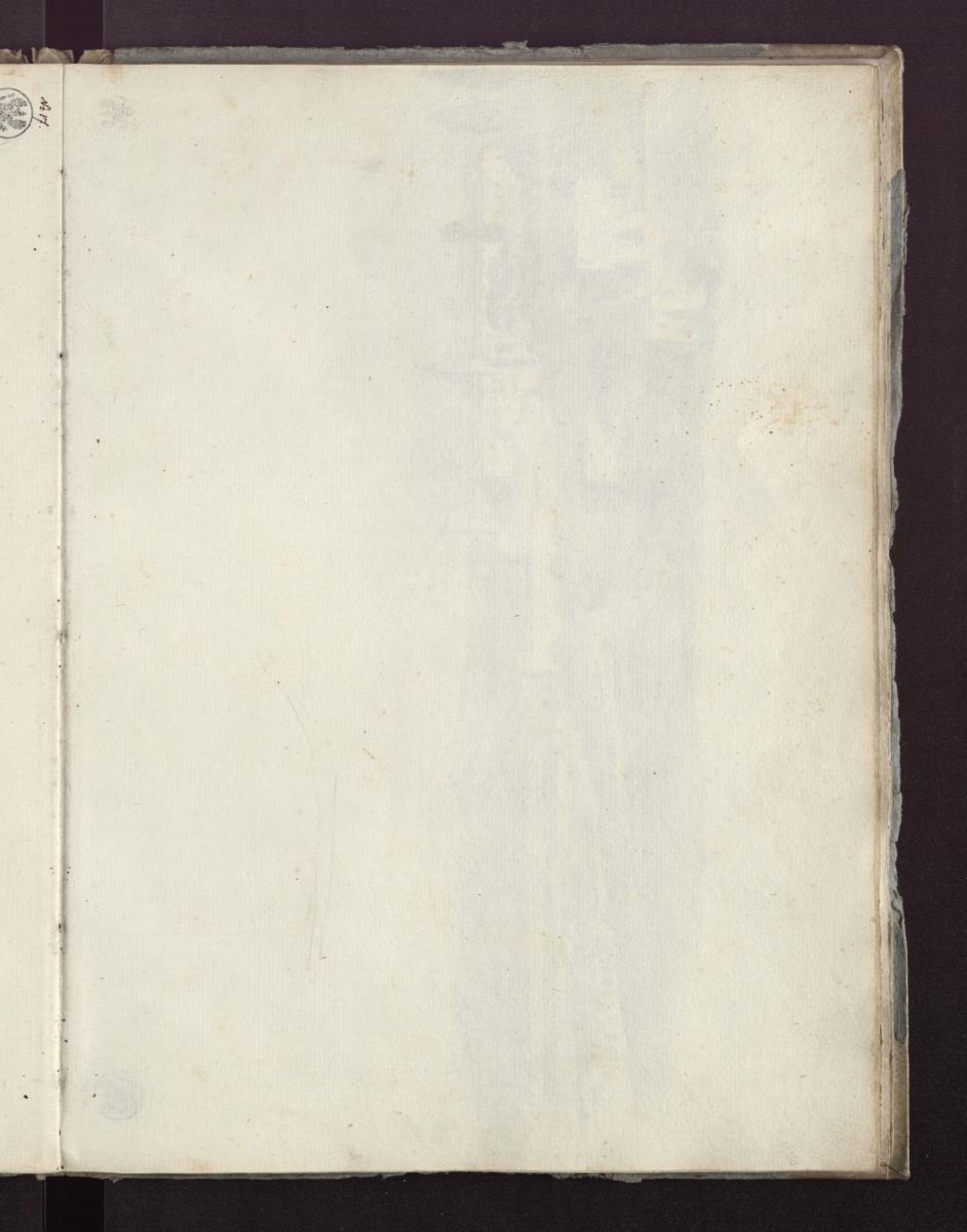 Baumstudie