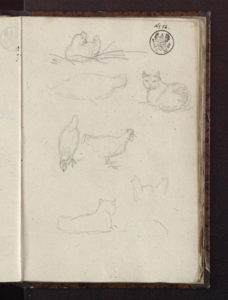 Studien zu Katzen und Hühnern
