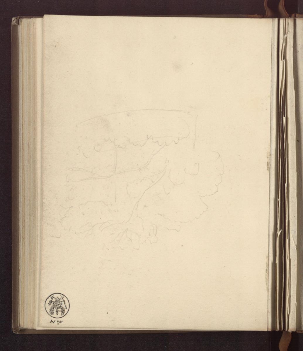 Baumstudie