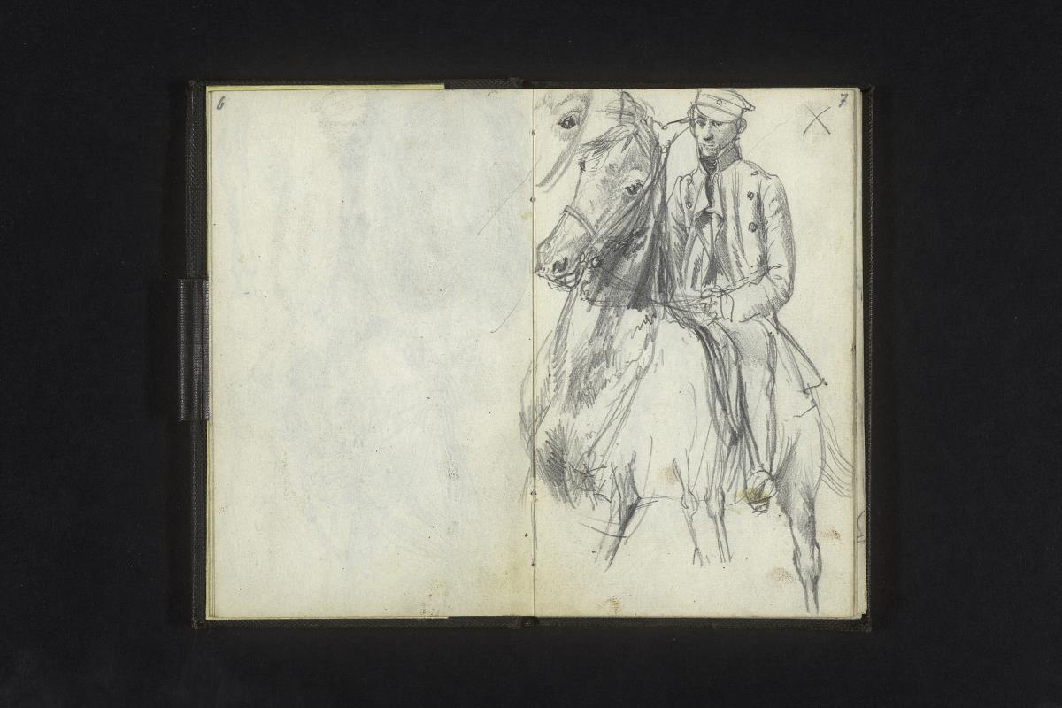 Pferd mit Reiter