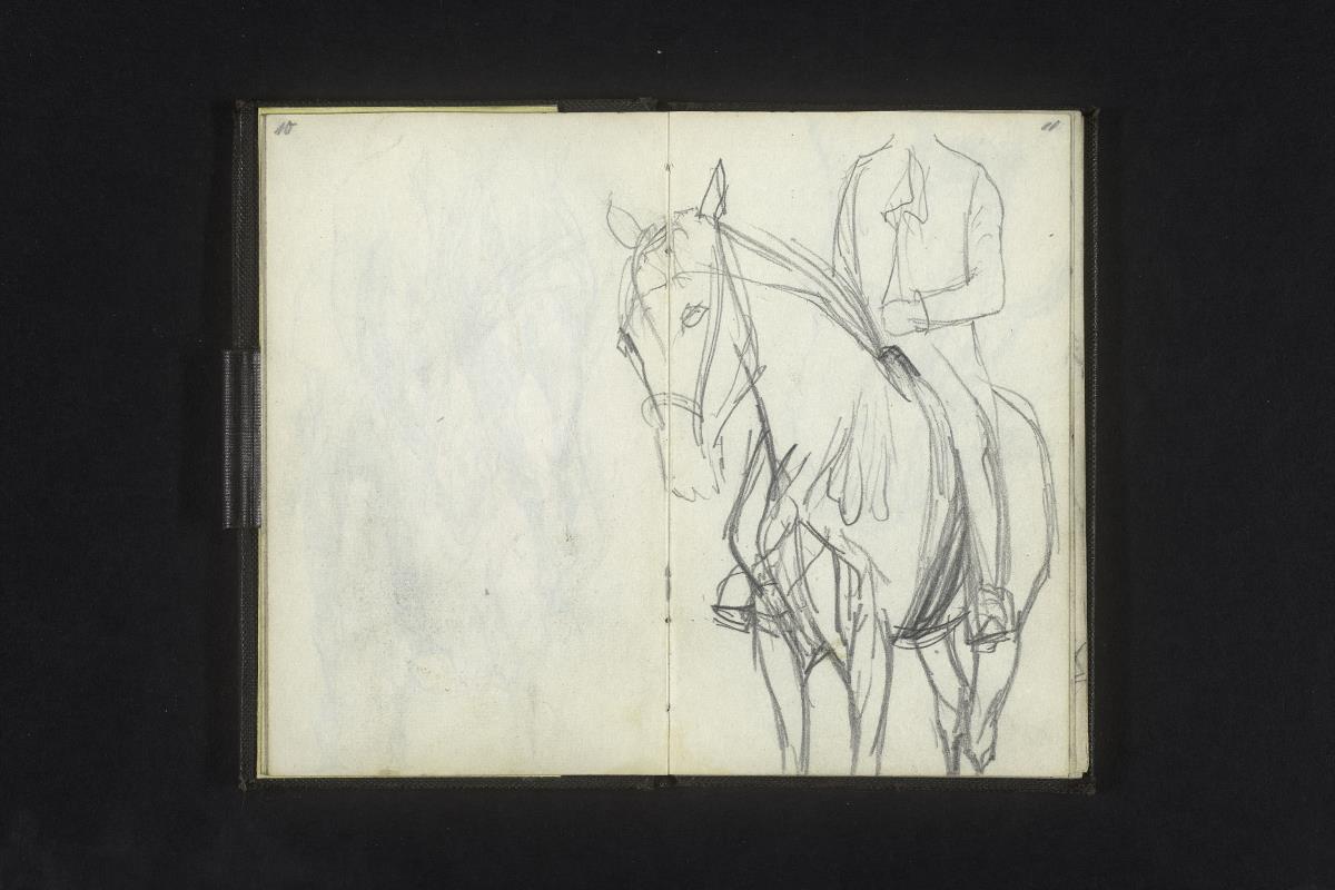 Pferd mit Reiter